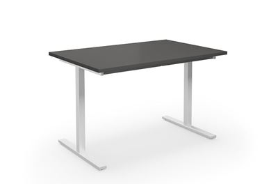 Bord DUO-T, rak skiva, LxB 1200x800 mm, mörkgrå/vit